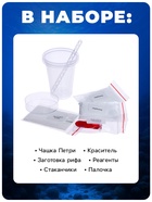 Набор для опытов с реагентами «Коралловый риф», Фиксики - Фото 4