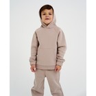 Костюм детский с начёсом (толстовка, брюки) KAFTAN "Basic line" р.28 (86-92), бежевый 7425127 - фото 9527346