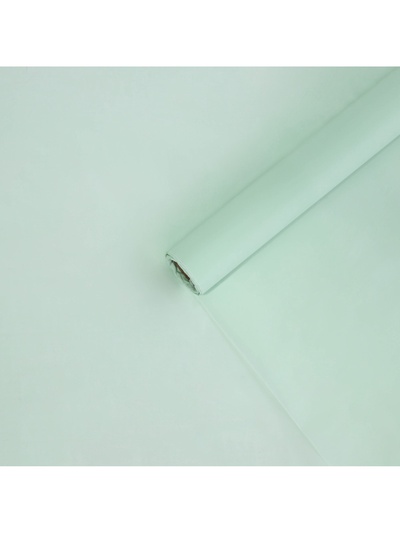 Плёнка для цветов упаковочная тишью влагостойкая «Мята», 0.6×8 м, 30 мкм