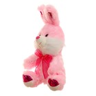 Мягкая игрушка «Зайка», 28 см, цвет МИКС - фото 24542812