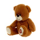 Мягкая игрушка «Медведь», бант в клетку, 20 см, цвет МИКС - фото 25373419