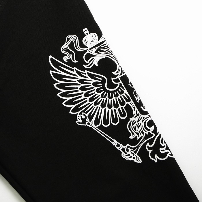 Толстовка Putin team, Mr. President, чёрная, размер 58-60 52508