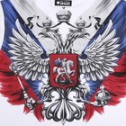 Футболка Putin team, герб, белая, размер 50-52 - Фото 11