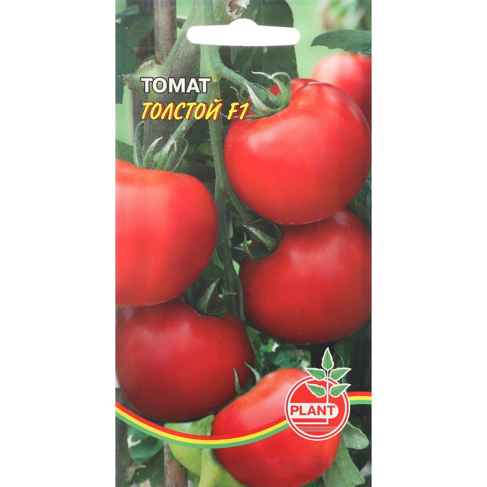 Любимые томаты: ровные, красивые, не болеют, вкусные, вяжут до осени (и почему я