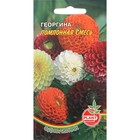 Семена цветов Георгина "Помпонная" смесь, 0,1 г 7453363 - фото 14692278