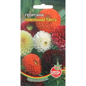 Семена цветов Георгина "Помпонная" смесь, 0,1 г 7453363