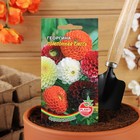 Семена цветов Георгина "Помпонная" смесь, 0,1 г - фото 46174733
