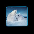 УЦЕНКА Проектор «Морской мир», 3 слайда, 24 картинки - Фото 5