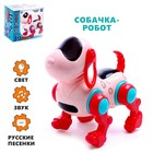 Уценка Собака IQ DOG, ходит, поёт, работает от батареек, цвет МИКС 7582352 - фото 2563023