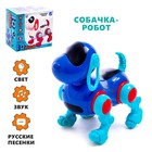 Уценка Собака IQ DOG, ходит, поёт, работает от батареек, цвет МИКС - Фото 4