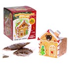 УЦЕНКА Набор для опытов «Выращиваем травку», домик - Фото 1