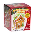 УЦЕНКА Набор для опытов «Выращиваем травку», домик - Фото 6