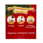 УЦЕНКА Набор для опытов «Выращиваем травку», домик - Фото 7