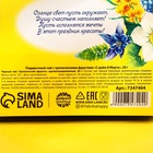 Чай подарочный чёрный «С днём 8 Марта», с тропическими фруктами, 20 г - Фото 6