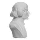 Гипсовая фигура известные люди: Бюст Гоголя, 13,5 х 10 х 17 см - фото 9009712
