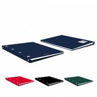 Тетрадь A4 на кольцах, 80 листов в клетку, ErichKrause Classic, пластиковая обложка, блок офсет 100% белизна, МИКС - фото 21457241