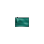 Папка-конверт на ZIP-молнии Card Size (112х81мм), 180 мкм, ErichKrause, Glossy Ice Metallic, глянцевая, непрозрачная, микс 7627167 - фото 5093064