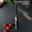 Нож для сыра Доляна «Страйп», лезвие 15 см, цвет синий - Фото 3