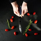 Нож для сыра Доляна «Страйп», лезвие 15 см, цвет синий - Фото 6