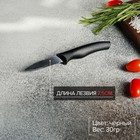 Нож для овощей Доляна «Грайм», лезвие 7,5 см, цвет чёрный - Фото 2