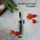 Нож для овощей Доляна «Грайм», лезвие 7,5 см, цвет чёрный - фото 4342322