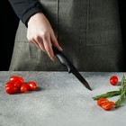Нож для овощей Доляна «Грайм», лезвие 7,5 см, цвет чёрный - фото 4342324