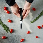 Нож для овощей Доляна «Грайм», лезвие 7,5 см, цвет чёрный - фото 4342325