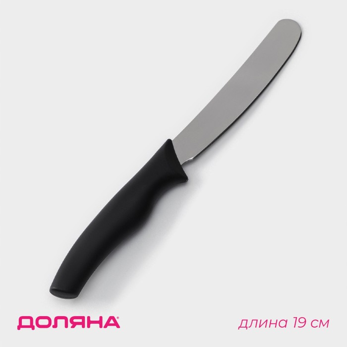 Нож для масла Доляна «Грайм», лезвие 11 см, цвет чёрный - Фото 1