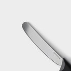 Нож для масла Доляна «Грайм», лезвие 11 см, цвет чёрный - Фото 3