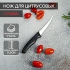 Нож кухонный для цитрусовых Доляна «Грайм», лезвие 11,5 см, цвет чёрный - фото 9530011