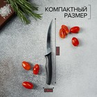 Нож Доляна «Грайм» для томатов, лезвие 11,5 см, цвет чёрный - Фото 3