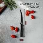 Нож кухонный для цитрусовых Доляна «Грайм», лезвие 11,5 см, цвет чёрный - Фото 3