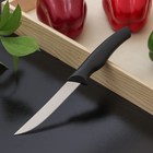 Нож кухонный Доляна «Грайм», лезвие 11,5 см, цвет чёрный - Фото 1