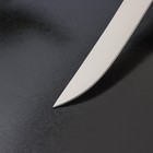 Нож кухонный Доляна «Грайм», лезвие 11,5 см, цвет чёрный - Фото 3