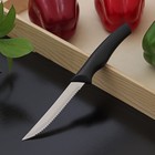 Нож для мяса Доляна «Грайм», зубчатое лезвие 11,5 см, цвет чёрный - фото 4342335