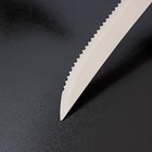 Нож для мяса Доляна «Грайм», зубчатое лезвие 11,5 см, цвет чёрный - Фото 3