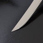 Нож для мяса Доляна «Грайм», зубчатое лезвие 11,5 см, цвет чёрный - Фото 4