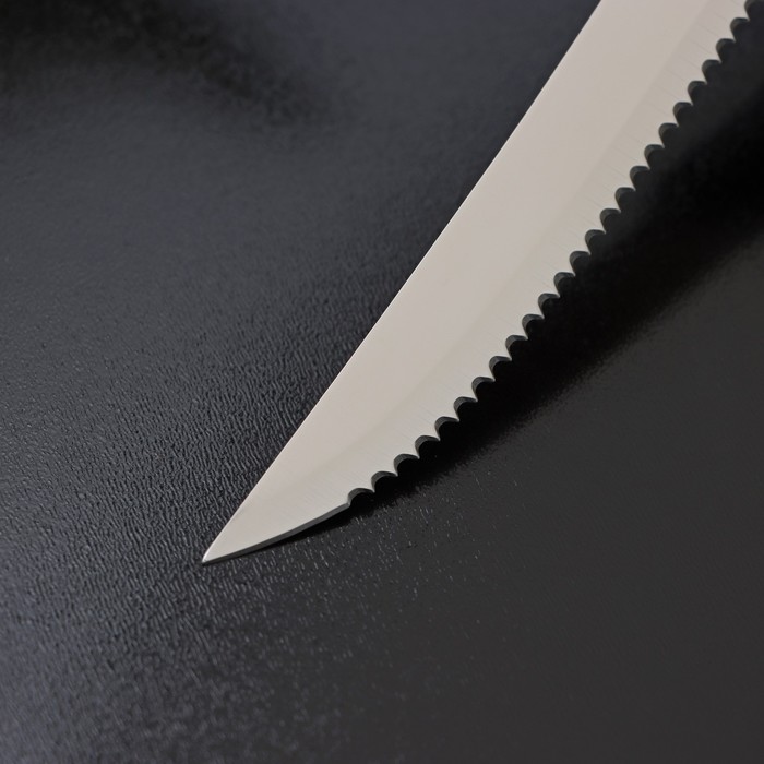 Нож для мяса Доляна «Грайм», зубчатое лезвие 11,5 см, цвет чёрный - фото 1907361203