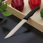Нож кухонный Доляна «Грайм», лезвие 15 см, цвет чёрный - фото 9530027