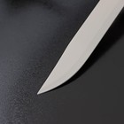 Нож кухонный Доляна «Грайм», лезвие 15 см, цвет чёрный - Фото 4