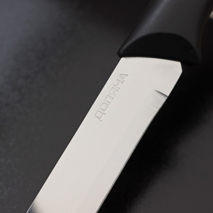 Нож кухонный Доляна «Грайм», лезвие 15 см, цвет чёрный - фото 1907361209