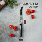 Нож для сыра Доляна «Грайм», лезвие 15 см, цвет чёрный - Фото 3