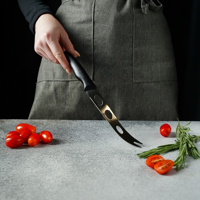 Нож для сыра Доляна «Грайм», лезвие 15 см, цвет чёрный - фото 1907361214