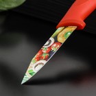 Нож кухонный с антиналипающим покрытием Доляна «Урожай», овощной, лезвие 8 см 5427719