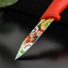 Нож кухонный с антиналипающим покрытием Доляна «Урожай», овощной, лезвие 8 см - Фото 2
