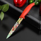 Нож кухонный с антиналипающим покрытием Доляна «Урожай» универсальный, лезвие 12,5 см - фото 5210312