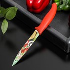 Нож кухонный с антиналипающим покрытием Доляна «Урожай» универсальный, лезвие 12,5 см - фото 4342347