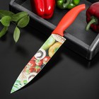 Нож кухонный с антиналипающим покрытием Доляна «Урожай» шеф, лезвие 20 см - фото 318749430