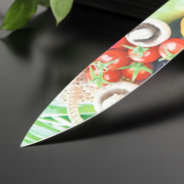 Нож кухонный с антиналипающим покрытием Доляна «Урожай» шеф, лезвие 20 см - фото 1927820310