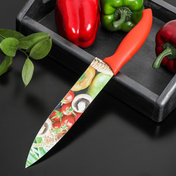 Нож кухонный с антиналипающим покрытием Доляна «Урожай» шеф, лезвие 20 см - фото 1908822038